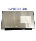 17.3 inch laptop scherm - 2560 x 1440 - mat - 40 pin - QHD, IPS - 240Hz - NE173QHM-NZ3
