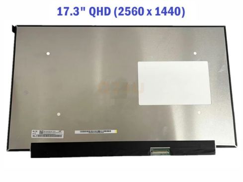 17.3 inch laptop scherm - 2560 x 1440 - mat - 40 pin - QHD, IPS - 240Hz - NE173QHM-NZ3